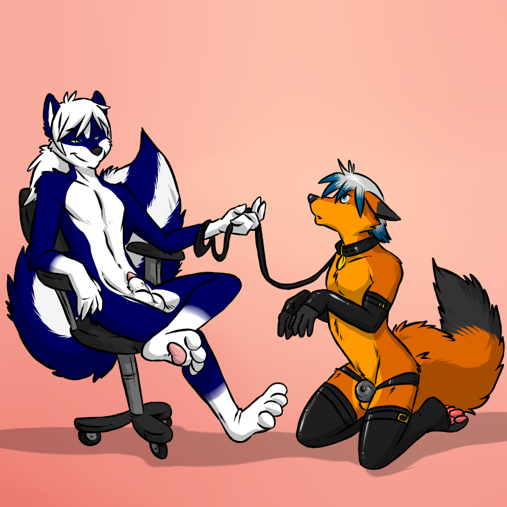 aggrobadger anthro begging blue_fur canine chastity chastity_cage chastity_device collar computer_chair elbow_gloves fox furry gay gloves hair kneeling leash male male_chastity multicolored_hair no_humans nude orange_fur pawpads penis plain_background rubber sitting skunk taki_(skunk) toeless_socks white_hair