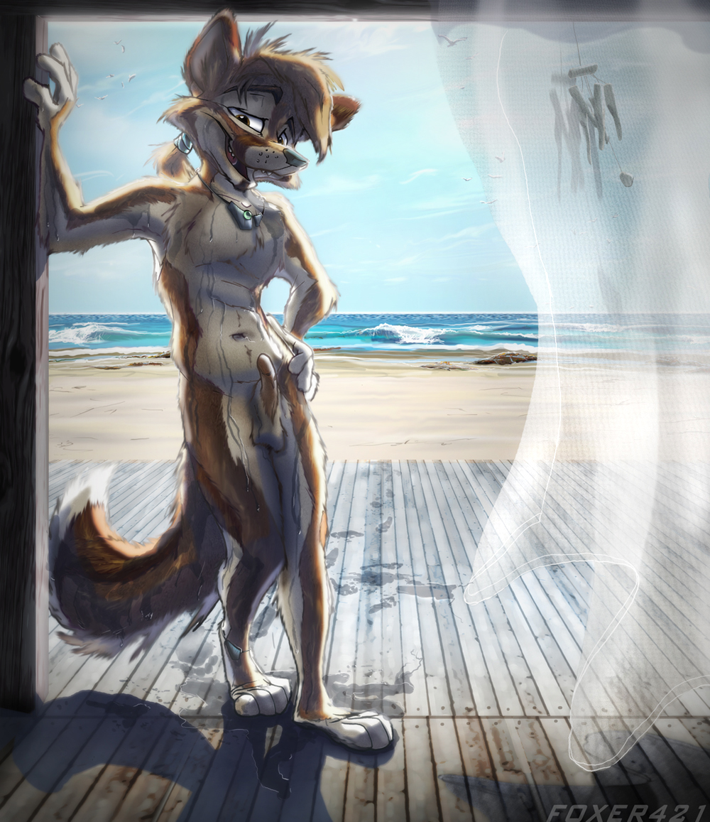 anthro balls beach canine erection fox foxer421 fur furry male nude penis seaside wet