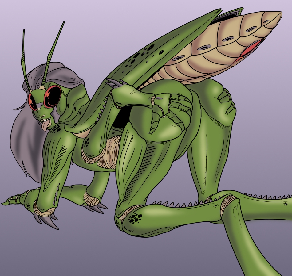 dungeons_and_dragons female insects presenting pussy thri-kreen