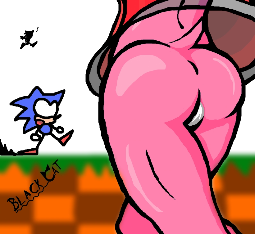 amy_rose blackcat female hedgehog male nude pussy sega sonic_(series) sonic_the_hedgehog