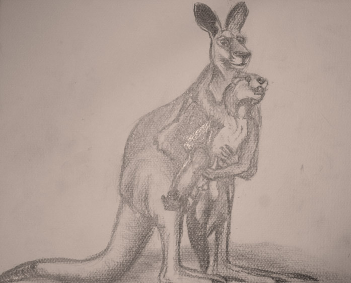 anal canine foxia furry gay kangaroo male marsupial no_humans ottel