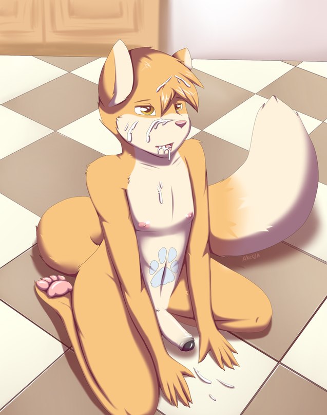 akivaws anthro blush canine cum cum_on_face cute feline fox foxcat fur furry gay imeow male no_humans penis