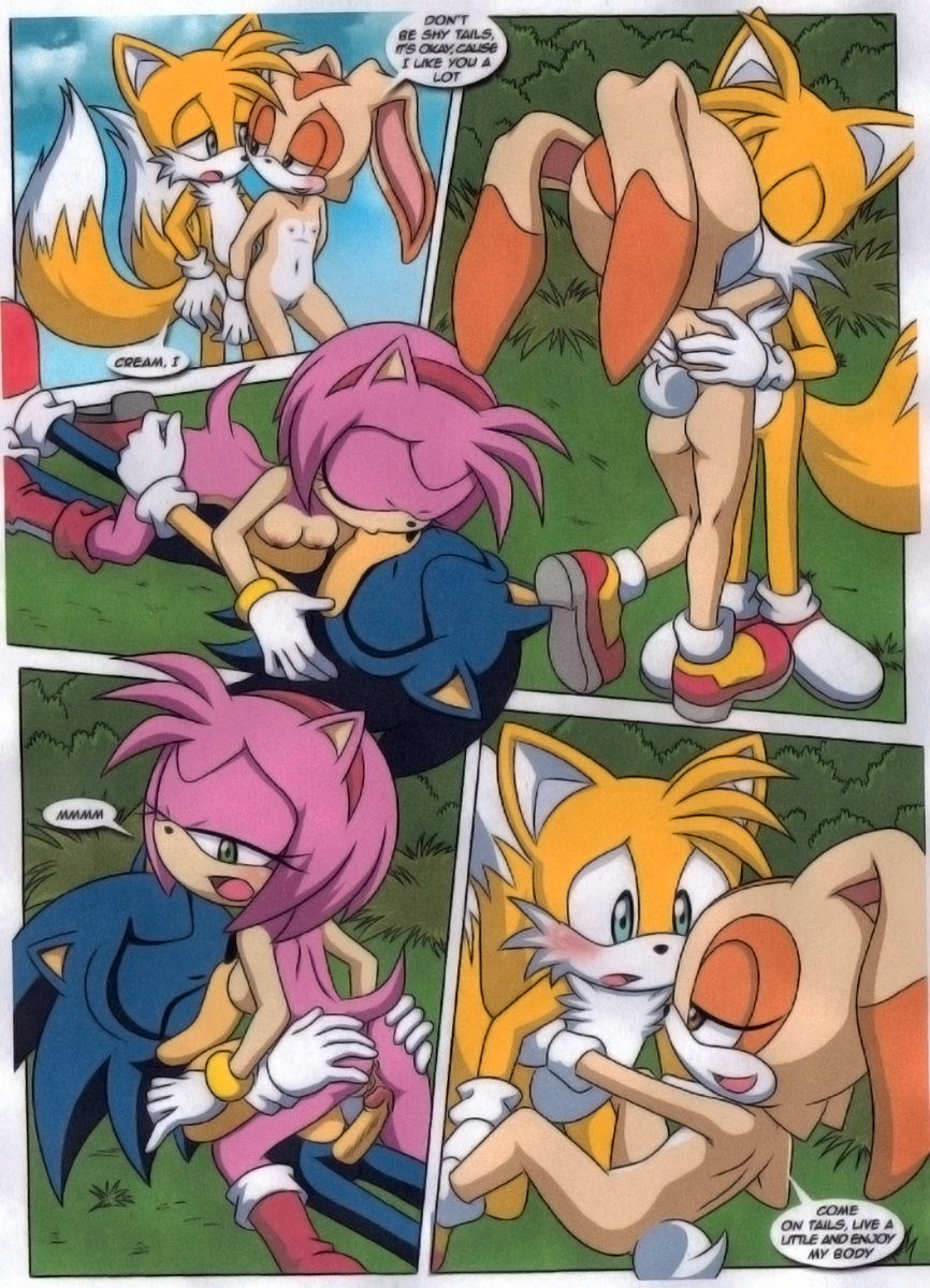 a_sparring_session amy_rose ass blush color comic cream_the_rabbit dakina_(writer) day fur furry_tail hedgehog holding kissing love male miles_tails_prower mobius_unleashed multiple_tails nipples nude outdoors palcomix penis sega sex sonic_(series) sonic_the_hedgehog sonic_the_hedgehog_(series) sonic_x tail