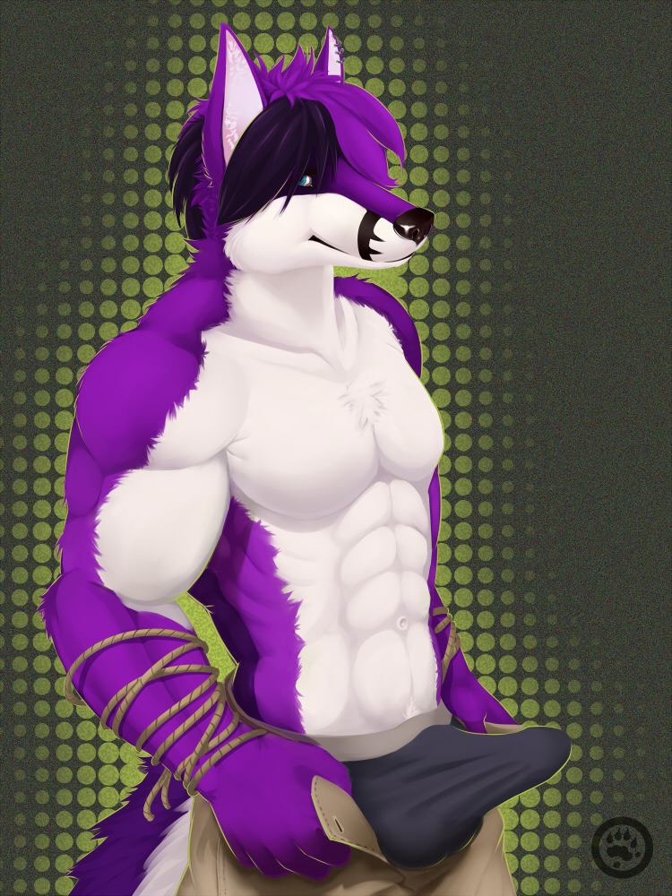 anthro bulge canine clothing ear_piercing efenrai folf fox furry hybrid looking_at_viewer male male_only muscles no_humans open_pants pants piercing shyloc solo topless underwear wolf