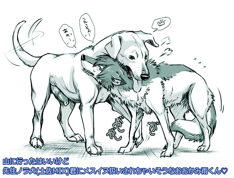 ame canine canine_penis cum erection feral fur interspecies male nude penis saliva tongue wolf wolf_children