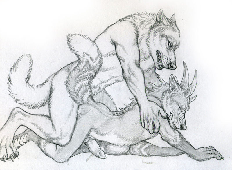 2013 anal anal_sex canine canine_penis closed_eyes doggy_style from_behind furry gay horn knot lying male no_humans nude on_front penetration penis rukis sex sketch wolf