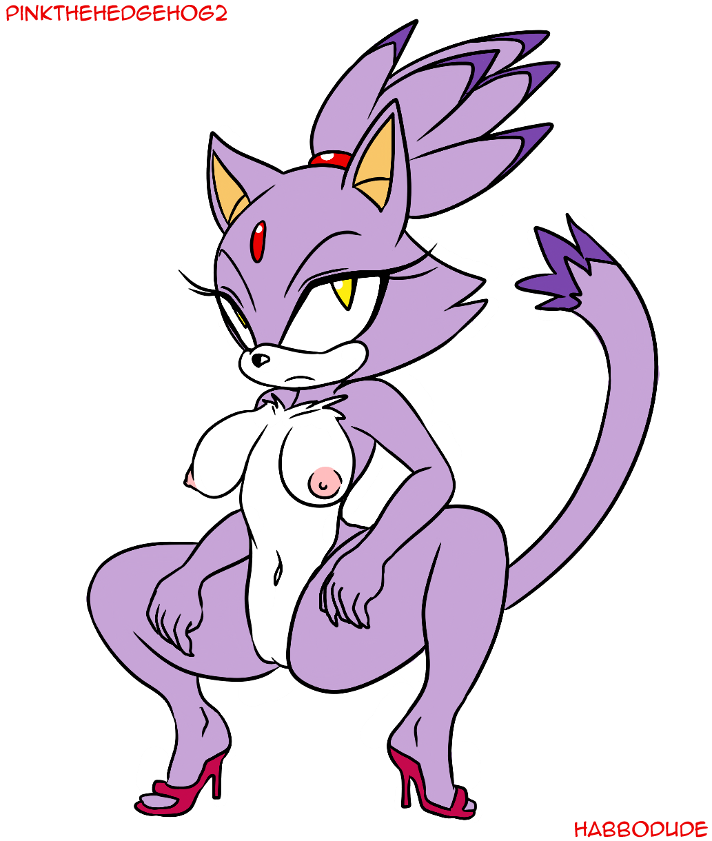 blaze_the_cat breasts cat color feline female female_only frown habbodude nipples nude pinkthehedgehog2 solo sonic_(series) squatting tagme vulva