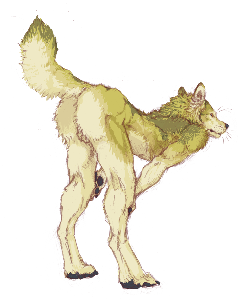 alpha_channel anthro balls canine fur furry green_fur male male_only pose presenting sekki solo wolf