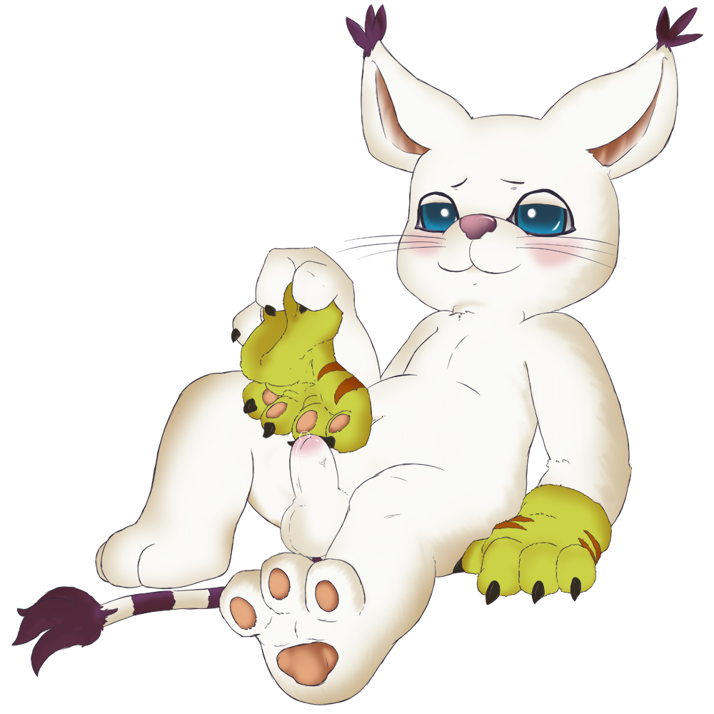 digimon gatomon tagme ziyen