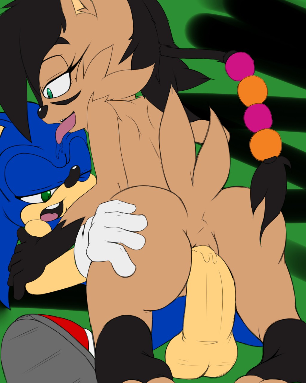 black_hair blue_fur brown_fur feline female fur furry green_eyes hair hedgehog koro_kizama lynx male mammal nicole_the_lynx sonic_(series) sonic_the_hedgehog straight