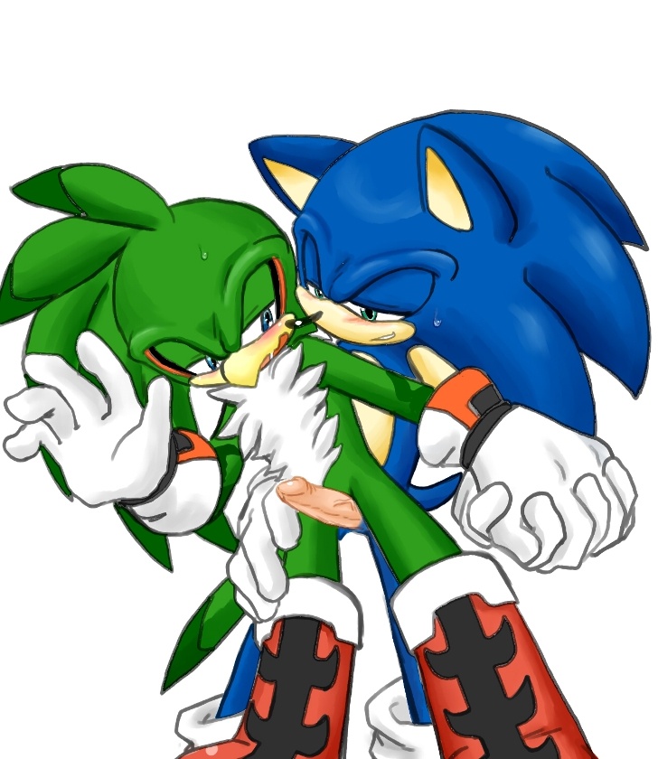 anthro color fur furry gay hawk hedgehog interspecies jet_the_hawk male male_only multiple_males penis sonic_(series) sonic_riders sonic_the_hedgehog tagme yaoi zehn