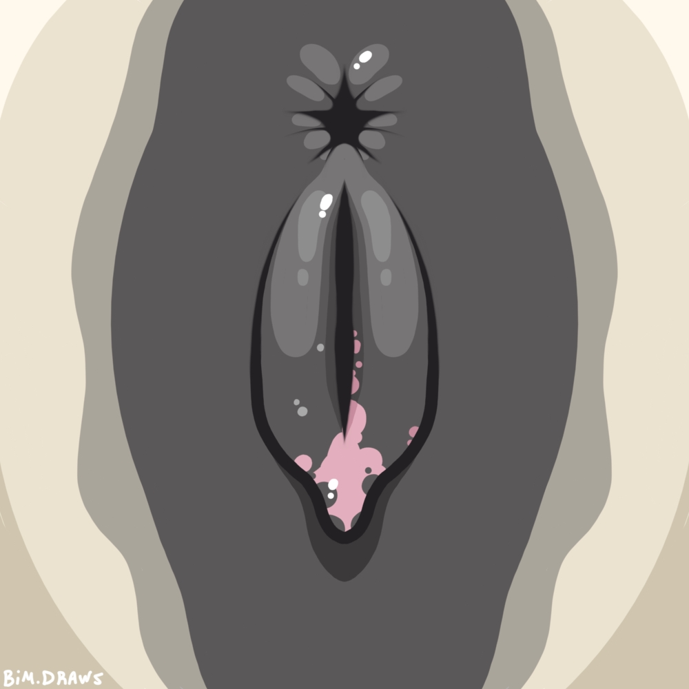 Animal Genitalia Rule 34 Image
