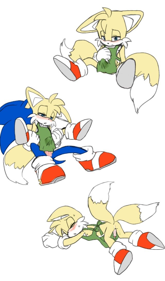 color fox fur furry furry_only furry_tail hedgehog interspecies male male_only multiple_males multiple_tails sonic_(series) sonic_the_hedgehog tail tails yaoi zehn