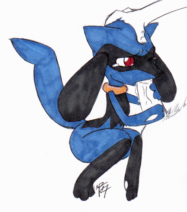 cautioncat pokemon riolu tagme