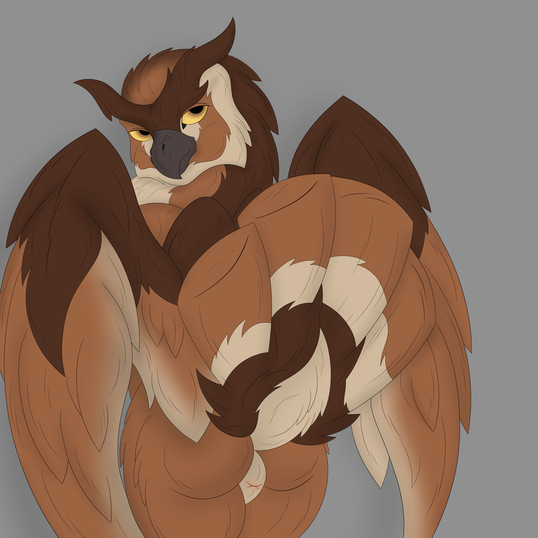 ambiguous_gender animal_genitalia anthro avian beak bird cloaca feathered_wings feathers great_horned_owl inzoreno koda-na-canine male male_only nude owl presenting simple_background solo tail_feathers wings