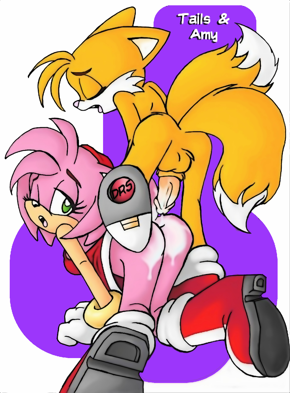 amy_rose color drs female fox fur furry furry_tail hedgehog interspecies male multiple_tails sonic_(series) tail tails