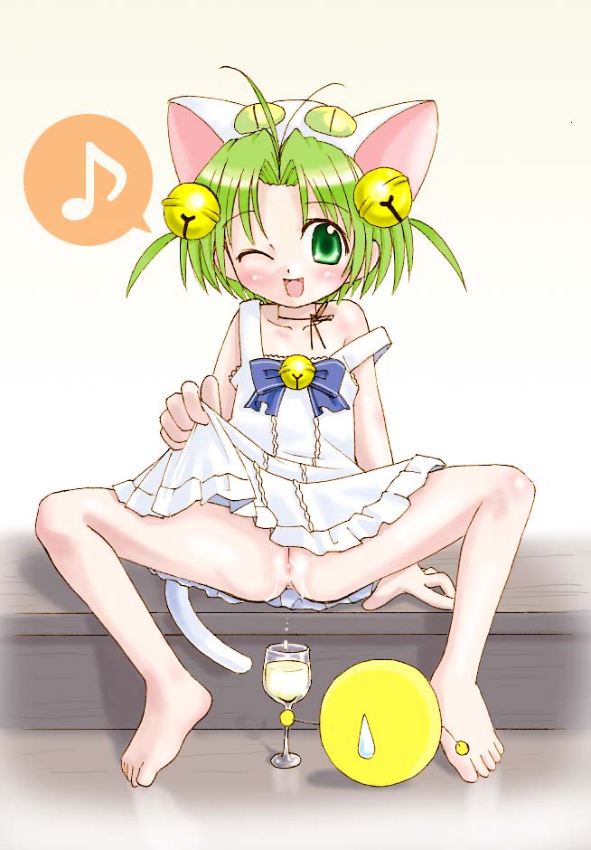 1girls animal_ears artist_request blush cat_girl dejiko di_gi_charat female gema green_hair humanoid light-skinned_female light_skin princess pussy short_hair tagme