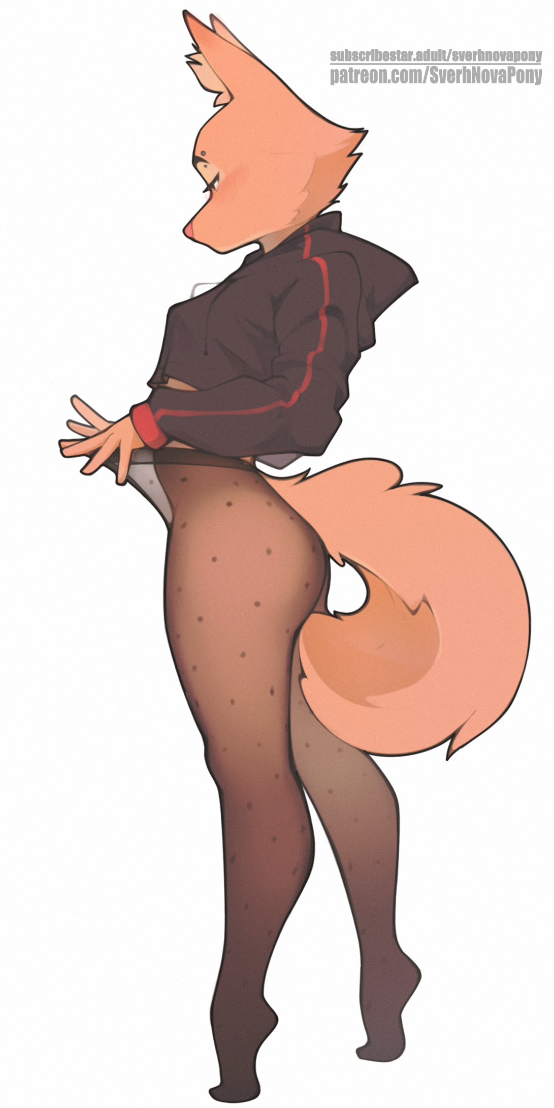 1girls, 2024, anthro, canid, canine, clothing, diane foxington, dreamworks, eyebrow piercing, eyebrows, eyelashes, facial piercing, feet, female, female only, fox, fur, hi res, hoodie, inner ear fluff, legwear, mammal, orange body, orange fur, pantyhose, piercing, solo, sverhnovapony, the bad guys, topwear, tuft, white background