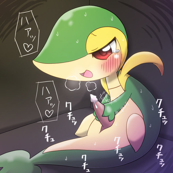 blush cum hm3526 japanese_text male nintendo penis pokemon pokemon_(species) precum snivy sweat tear text video_games