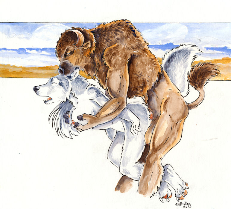 2013 anthro bison bovine breasts canine female furry heather_bruton male nipples penis sex straight turnabout wolf