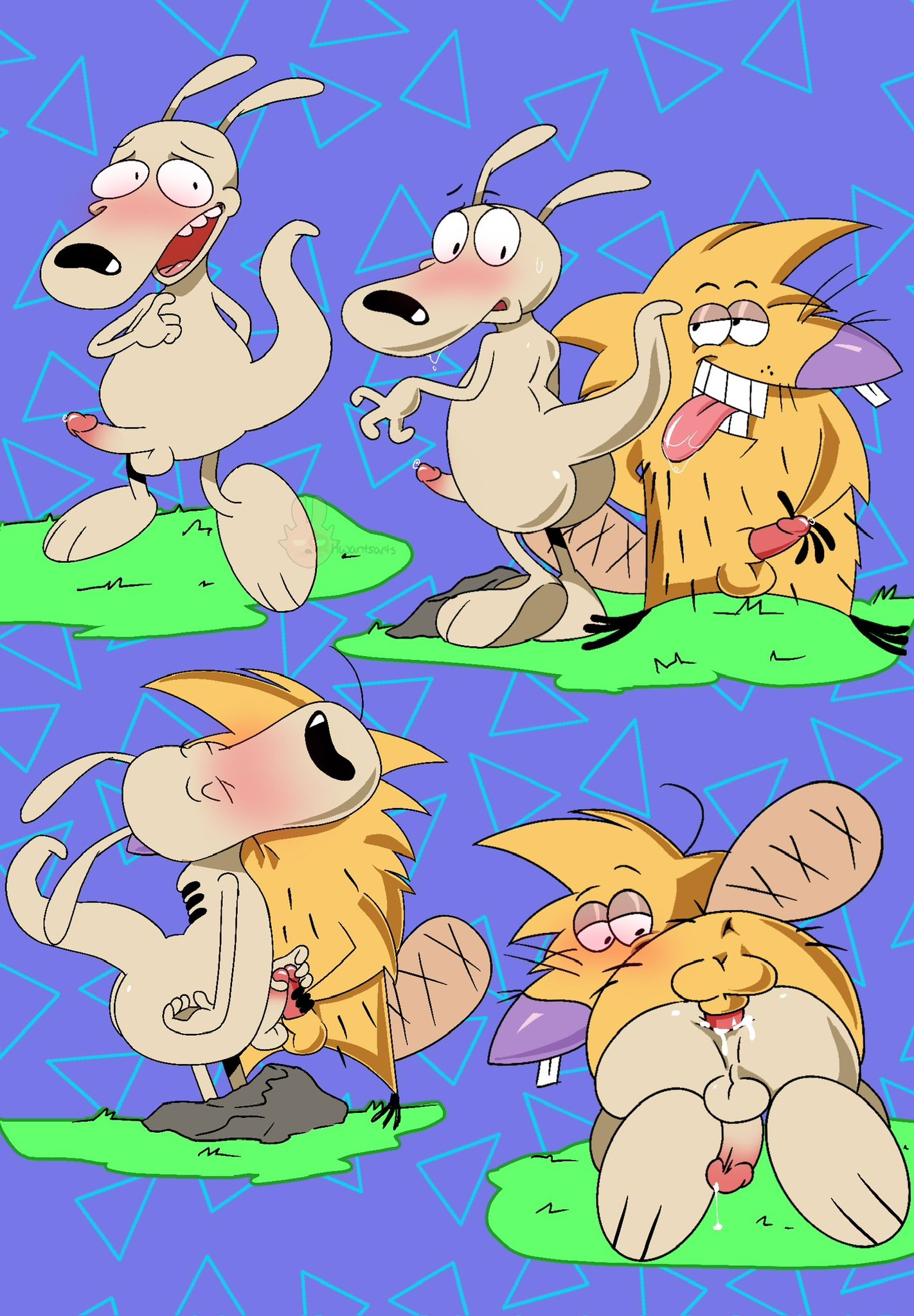 anal anal_sex anthro ass balls beaver blush frottage genitals hi_res humanoid_genitalia humanoid_penis hwantsarts macropod male male/male mammal marsupial nickelodeon norbert_beaver penetration penile penis rocko's_modern_life rocko_rama rodent sex the_angry_beavers tongue tongue_out wallaby