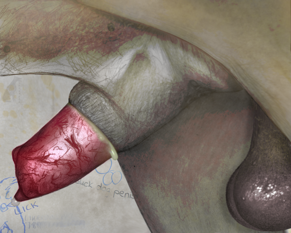 anatomically_correct anatomically_correct_genitalia anatomically_correct_penis animal_genitalia animal_penis balls bodily_fluids canid canine canine_genitalia canine_penis canis darkmare domestic_dog feral genital_fluids genital_focus genitals half-erect lipsticking male mammal penis penis_focus piercing precum saggy_balls sheath smegma solo