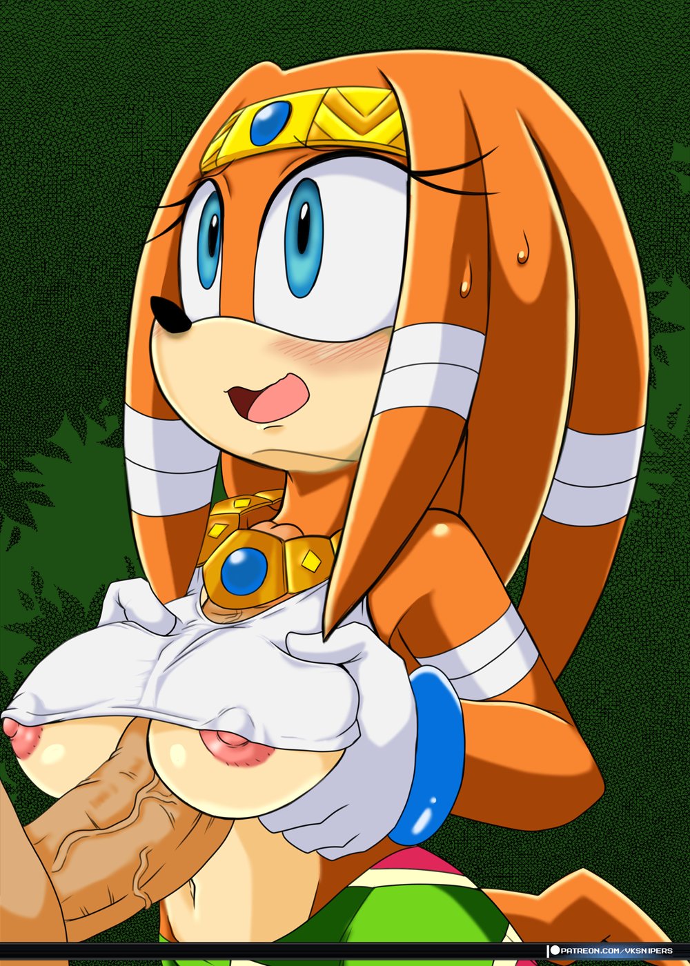 Tikal The Echidna (Sonic (Series)) Rule 34 Image