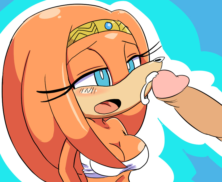 beige_skin blue_eyes breasts cloudz color echidna eyes female fur furry hair human human_on_anthro interspecies male male_human/female_anthro male_on_anthro mouth open_eyes open_mouth orange_fur orange_hair partial_male penis skin sonic_(series) tikal_the_echidna