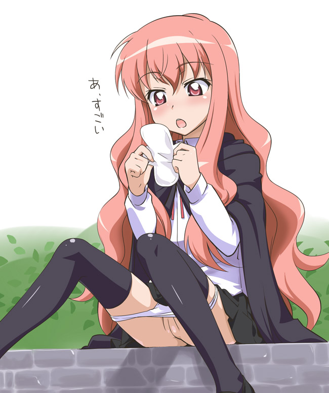 Louise Francoise Le Blanc De La Valliere (Zero No Tsukaima) Rule 34 Image