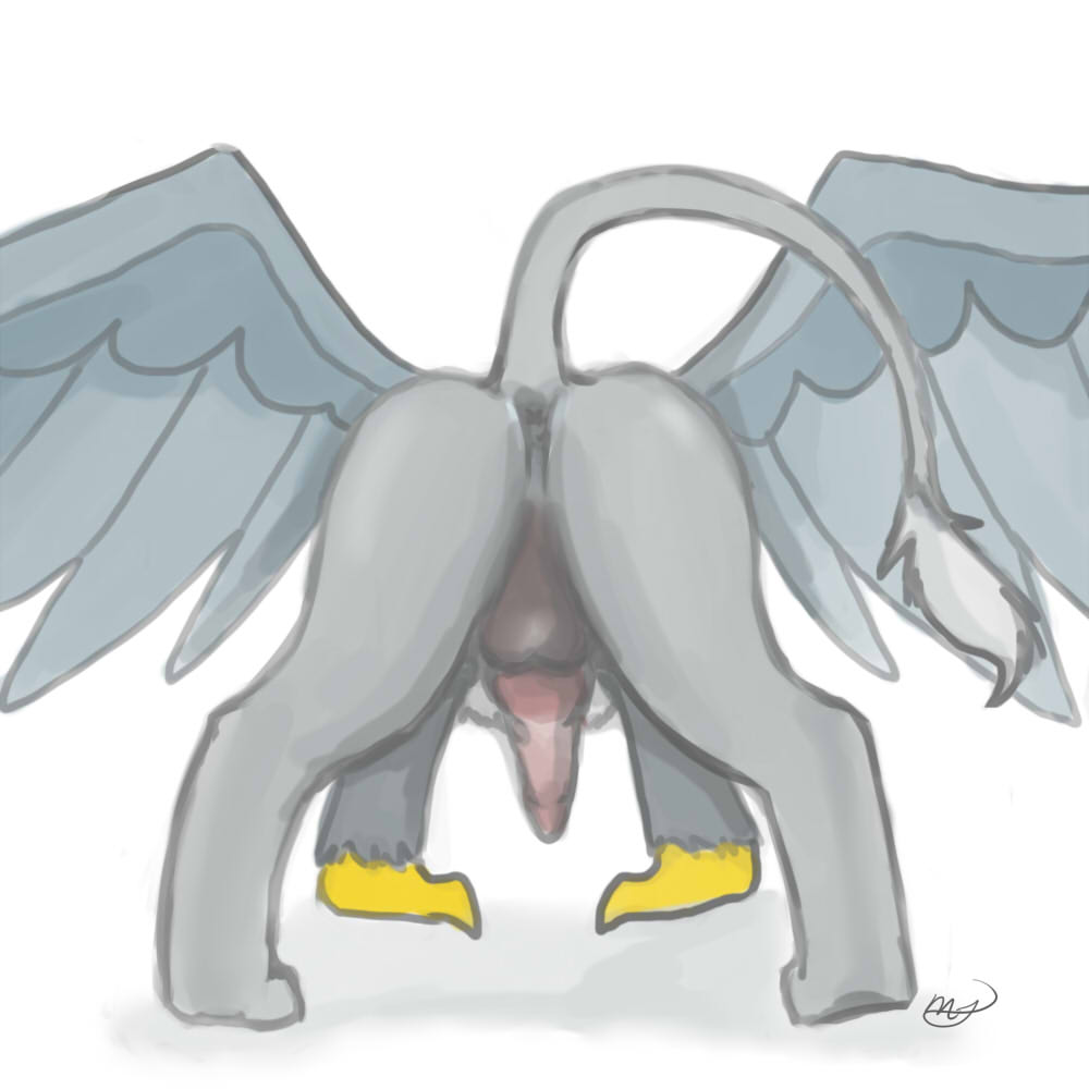 all_fours anus ass ass_up avian balls erection ganix gryphon male meggchan my_little_pony nude original_character penis presenting presenting_hindquarters raised_tail spread_wings wings