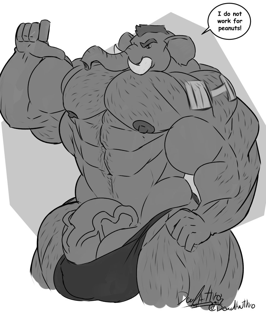 2017 abs anthro arm_hair balls big_balls big_muscles big_penis body_hair chest_hair clothed clothing deadanthro dialogue elephant elephantid genitals gesture hand_gesture happy_trail huge_balls huge_cock huge_muscles ineffective_clothing leg_hair male mammal mohawk monochrome muscular muscular_anthro muscular_male navel pecs penis pointing pointing_at_self proboscidean proboscis_(anatomy) signature simple_background solo speech_bubble tattoo trunk_(anatomy) tusks underwear vein veiny_penis xythan_(character)