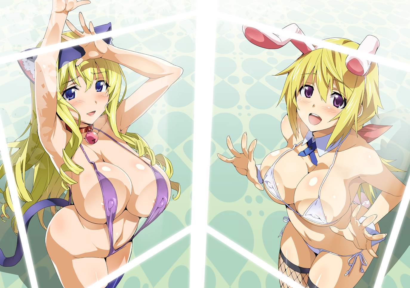 2girls, bikini, blonde hair, blue eyes, blush, breasts, bunny ears, cat ears, cecilia alcott, charlotte dunois, drill hair, female, happy, infinite stratos, large breasts, long hair, multiple females, multiple girls, nipples, purple eyes, short hair, stockings