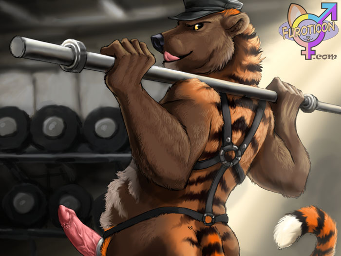 anthro barbs bear blackteagan cock_ring erection feline fur furoticon furry gym hybrid male male_only penis tcg tiger trading_card_game