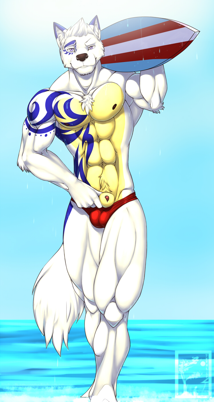 abs anthro beach biceps bulge canine chest_tuft color day feralise furry looking_at_viewer male male_only muscles no_humans outdoors penis penis_tip sea seaside sheath solo speedo standing surfboard swimsuit tattoo topless tuft ulric water wet wolf