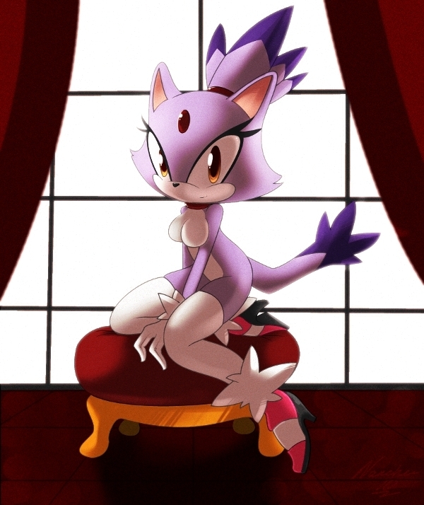 blaze_the_cat breasts cat feline female hair mammal naked_thighhighs nancher nude on_display purple_hair sega sonic_(series) sonic_the_hedgehog_(series) tagme tail yellow_eyes