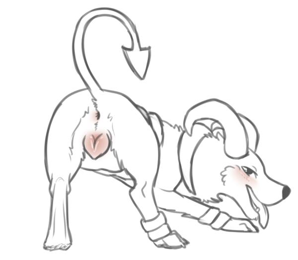 2013 anatomically_correct_pussy anus blush canine_pussy feral houndoom leverpuller looking_back pokemon presenting pussy raised_tail sketch solo