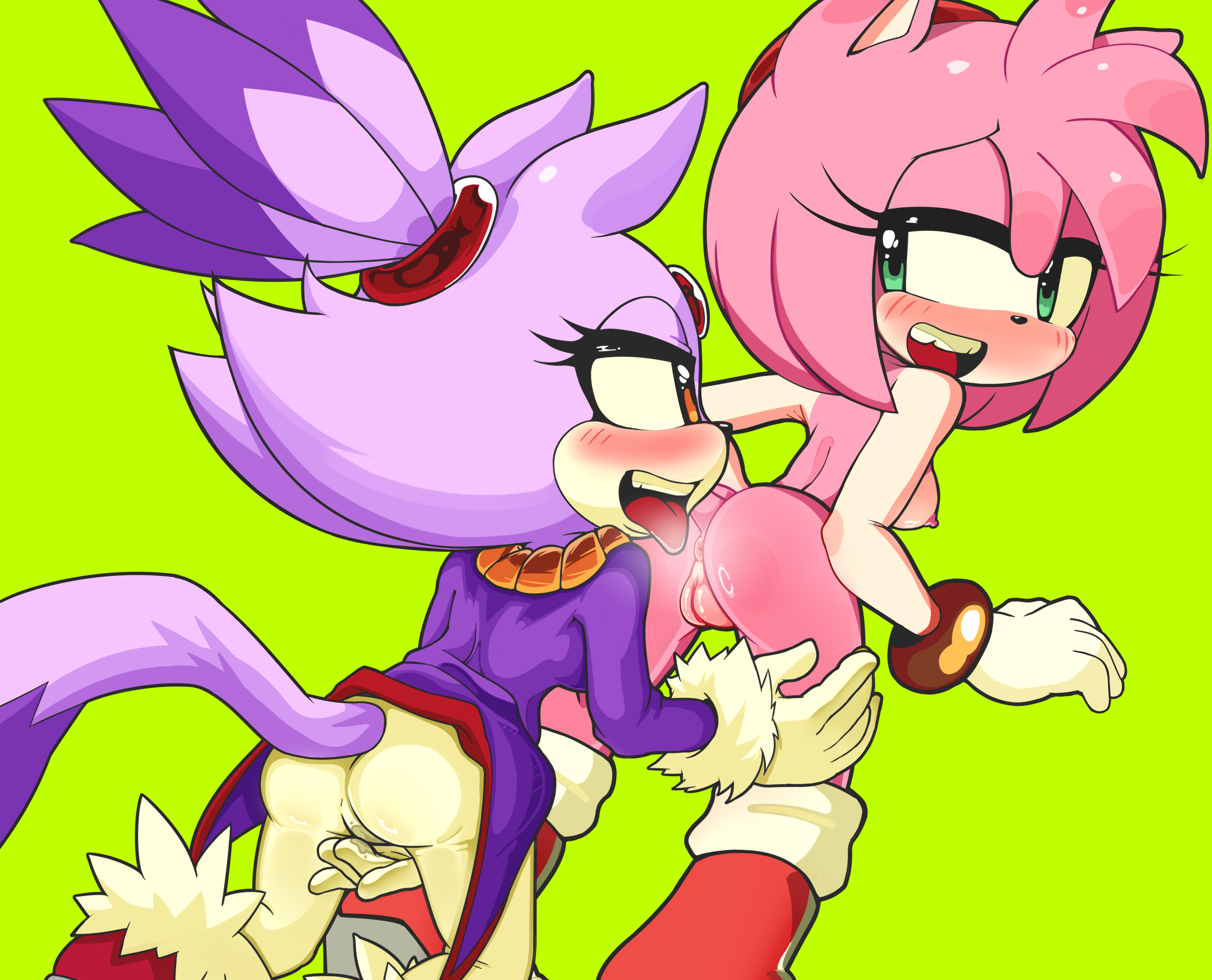 2girls, amy rose, ass, blaze the cat, furry, licking pussy, naked female, pleasure face, rimming, sonic (series), yuri
