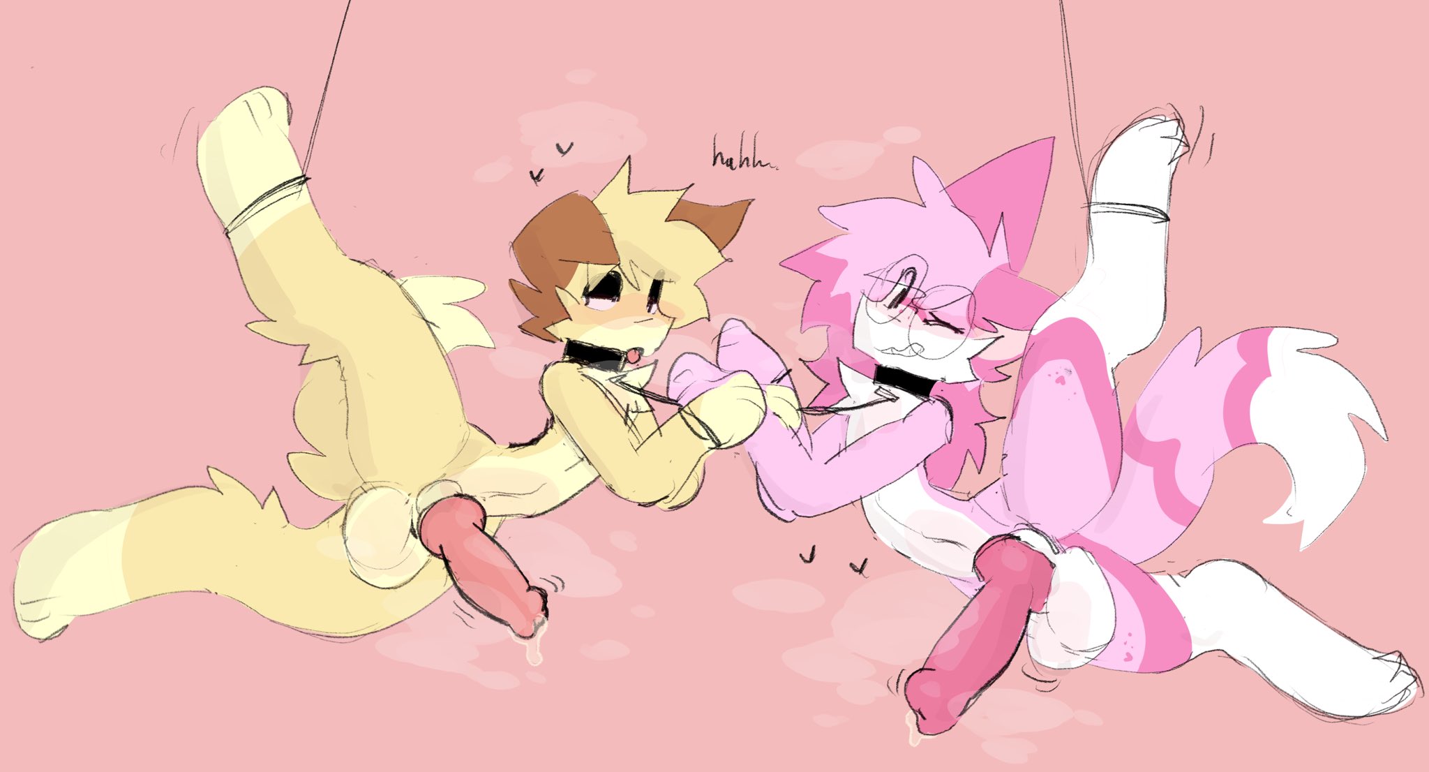 2025, 2boys, anthro, balls, blush, bondage, breath, breath cloud, canine, cat ears, cat tail, collar and leash, dog ears, dog tail, eyes half open, feline, femboy, furry, gay, glasses, heart symbol, knot, knotted penis, male, musk, musk clouds, one eye half-closed, penis, pink background, precum, rope bondage, rope on leg, sammy toyy, simple background, spreading legs, text, throbbing penis, tongue, tongue out