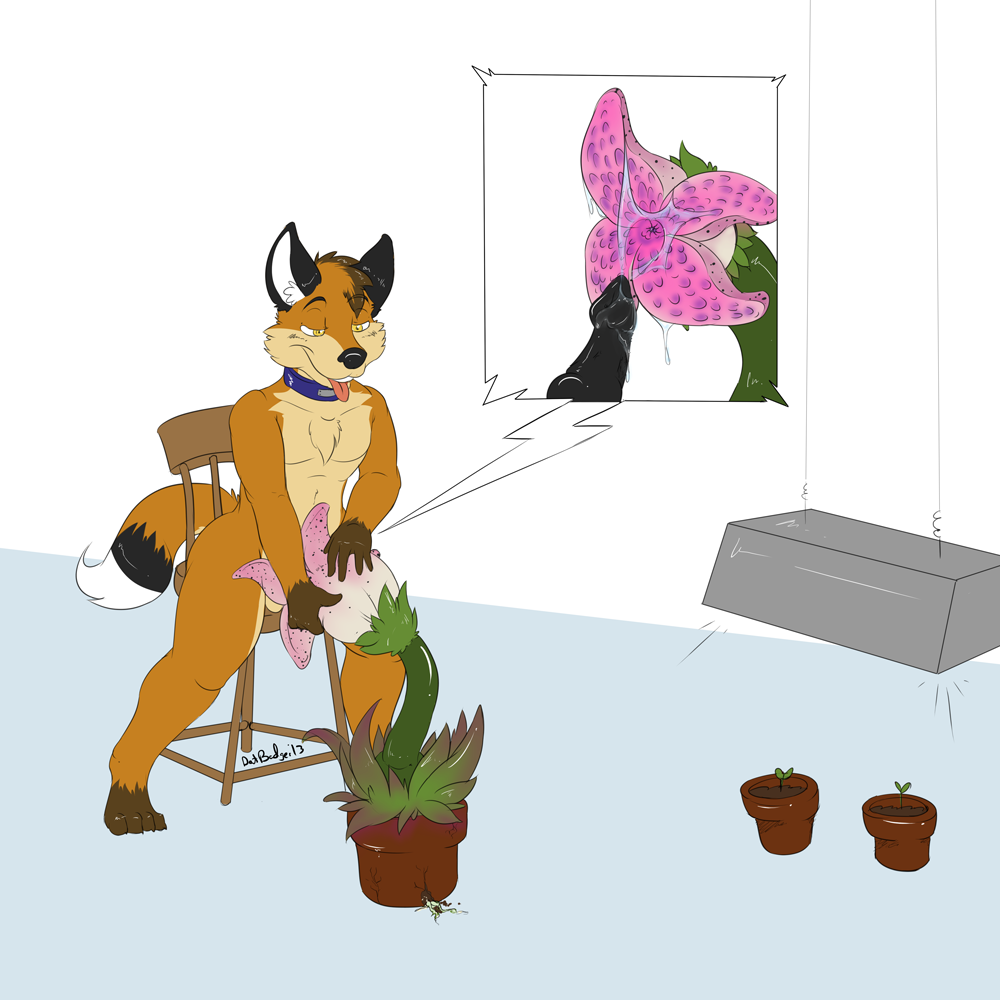 anthro canine collar datbadger erection flora_fauna fox fur furry knot male male_only nude penetration penis plant sex solo tongue tongue_out