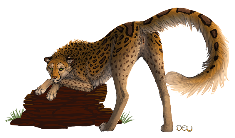 cheetah deyvarah feline feral hotwert mia pussy