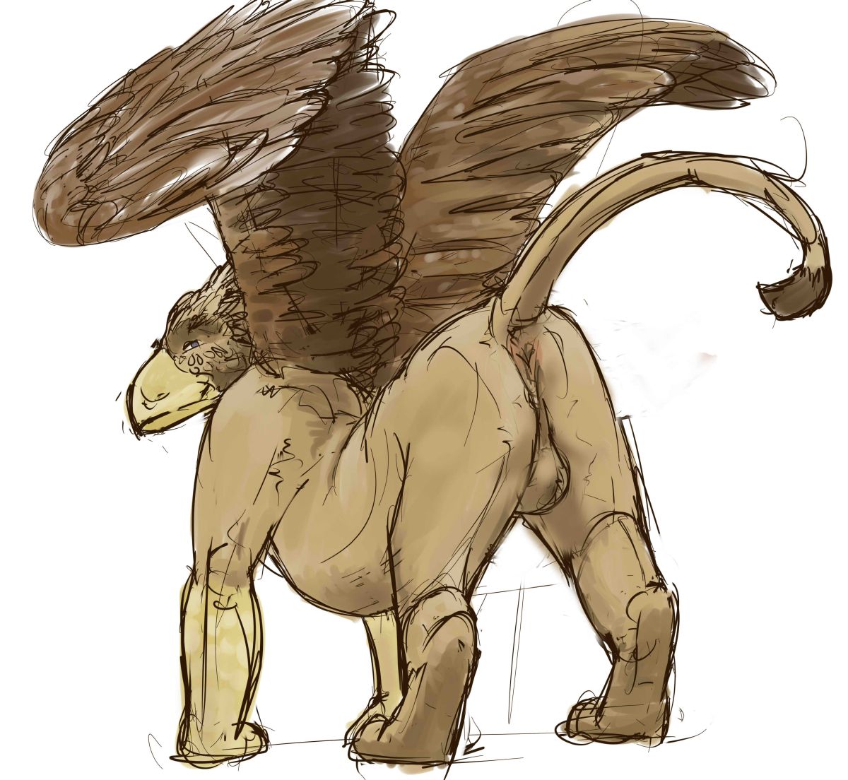 2010 all_fours anus arched_back ass balls beak big_anus brown_body brown_feathers brown_fur brown_wings colored feathers feet feral fur genitals guide_lines jeri_kleinlowe looking_at_viewer looking_back looking_back_at_viewer male nude_feral nude_male perineum puckered_anus raised_tail rear_view simple_background smile solo standing tail white_background wings