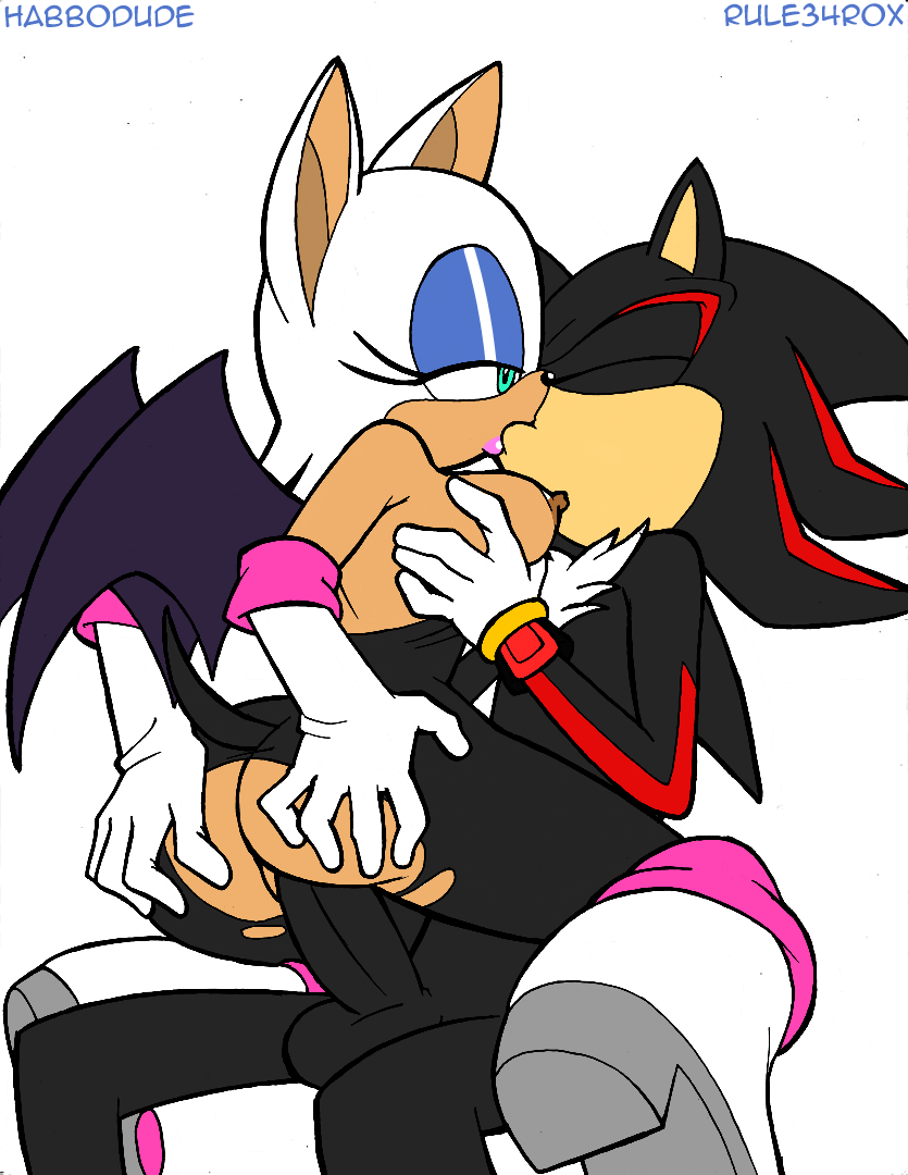 anthro areola balls bat breasts clothing cowgirl_position erect_nipples erection female female_on_top habbodude hair hedgehog kissing male nipples nude penetration penis rouge_the_bat rule34rox sega sex shadow_the_hedgehog sonic_(series) torn_clothing wings