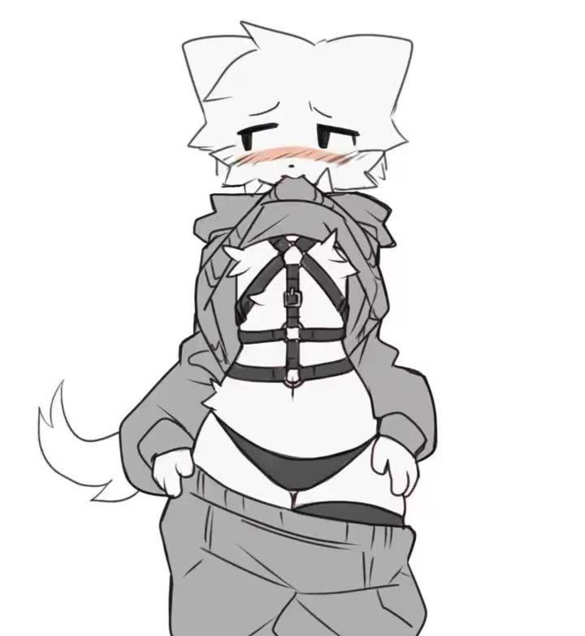 boykisser, cute, cute face, femboy, furry, gay, male, nonbinary, revealing clothes, silly, silly face, smaller male, solo, sufness, thighhighs
