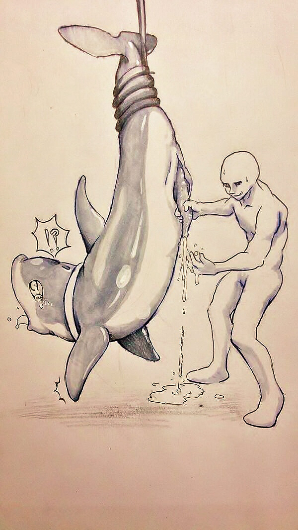 ! 2boys ? bald blowhole blush bound cetacean collar cum cum_on_floor cum_on_hand cumshot dolphin dripping drooling feral gay genital_slit handjob human interspecies male male_only marine monochrome nude orgasm penis plain_background rope saliva shiny sketch sweat tamanosuke tapering_penis tears tongue tongue_out what zoophilia