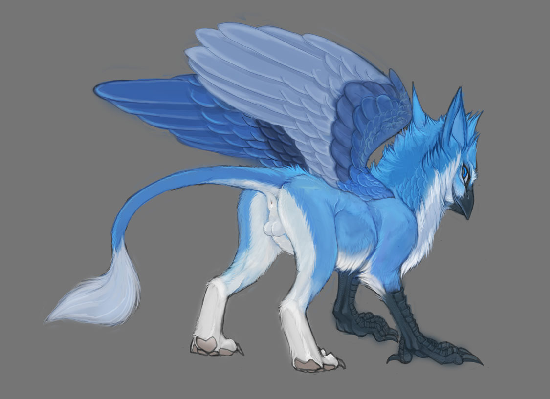 anthro anus avian back_turned balls beak blue_eyes blue_feathers feral fur furry gryphon lion_tail looking_at_viewer looking_back male male_only pira raised_tail sheath smile solo white_fur wings