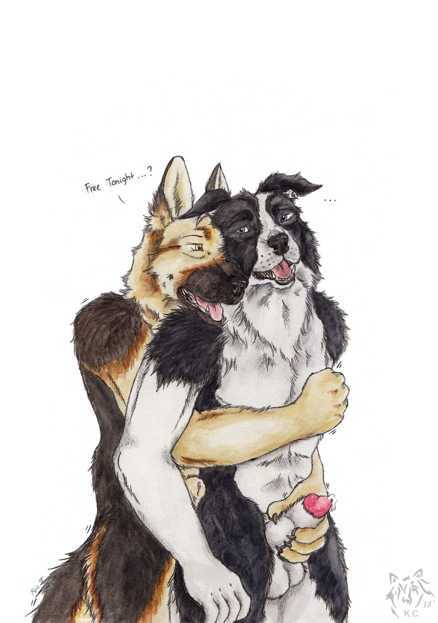 2018 animal_genitalia anthro anthro_on_anthro artist_logo black_body black_fur blue_eyes bodily_fluids border_collie canid canine canis collie cum cum_on_own_penis cum_on_penis cum_on_self dated domestic_dog duo fangs floppy_ears fur genital_fluids genitals german_shepherd handjob herding_dog hi_res knot_in_sheath kola_(artist) logo male male/male mammal nude open_mouth pastoral_dog penile penis penis_tip pink_tongue red_penis sex sheath sheepdog simple_background standing tan_body tan_fur teeth tongue white_background white_body white_fur yellow_eyes