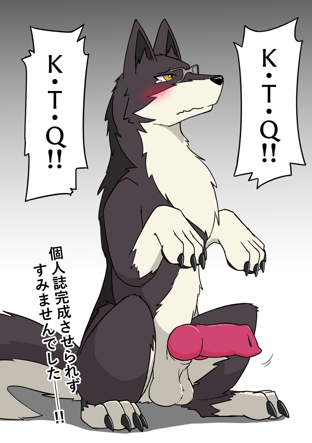 2024 4_fingers 4_toes animal_genitalia animal_penis balls begging begging_pose black_body black_fur blush canid canine canine_genitalia canine_penis claws embarrassed erection feet feral fingers fur genitals hi_res japanese_description japanese_text male mammal penis pose solo tail text toes translation_request white_body white_fur wolfonia