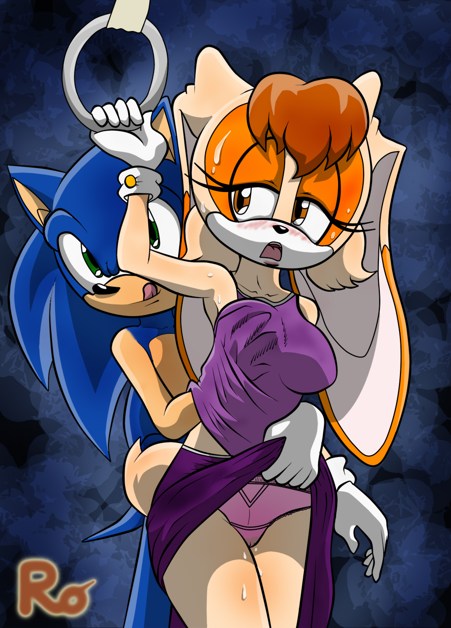 anthro blue_fur female fur furry groping hedgehog male mammal panties pink_panties rabbit skirt_lift sonic_(series) sonic_the_hedgehog straight vanilla_the_rabbit zerbukii