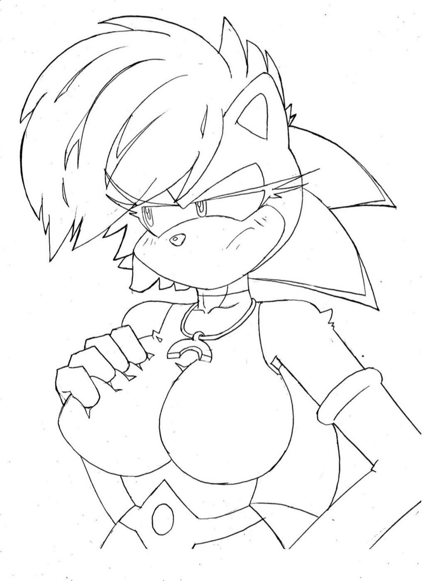 female hedgehog sonia_the_hedgehog sonic_(series) sonic_the_hedgehog_(series) superbunnygt tagme