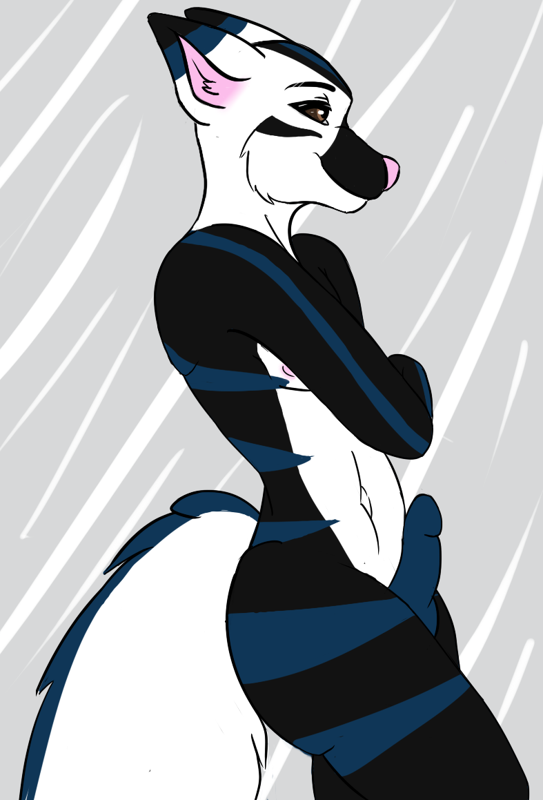 anthro canine erection fluff fox fur furry male male_only mammal penis pose rcfox solo